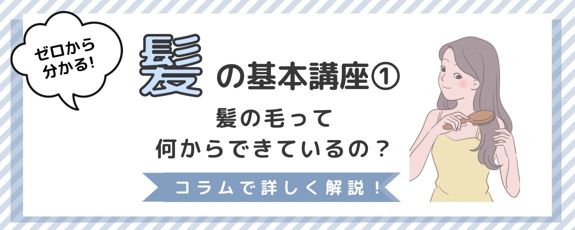 Part1. 髪の毛って何からできているの？