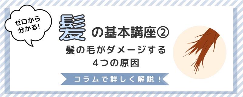 Part.2  毛の髪がダメージする原因は？